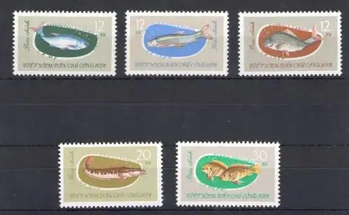 1963 Nordvietnam - Yvert Nr. 339-43 - Fische - 5 Werte - postfrisch**