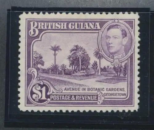 1938-52 BRITISH GUIANA - Stanley Gibbons Nr. 317 - postfrisch**