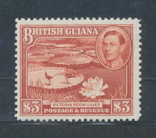 1938-52 BRITISH GUIANA - Stanley Gibbons Nr. 319 - postfrisch**