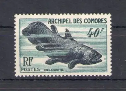 1954 Komoren - Fische - Yvert Nr. 13 postfrisch**