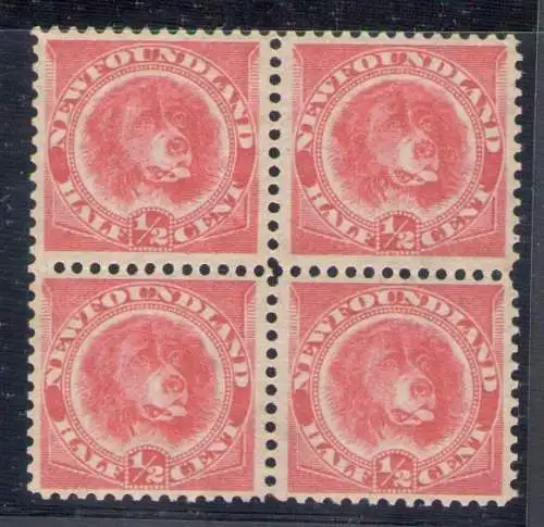 1897 British Honduras, 1/2 Cent Pink, Stanley Gibbons #49 - MH*