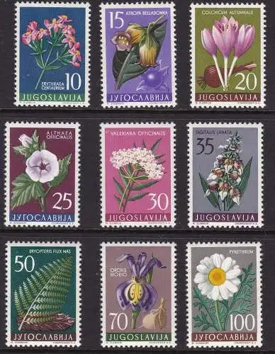 1957 JUGOSLAWIEN - Jugoslawische Flora 9 Werte MNH / **