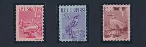 1961 ALBANIEN, Fauna - Vögel, Nr. 630/32 - postfrisch**