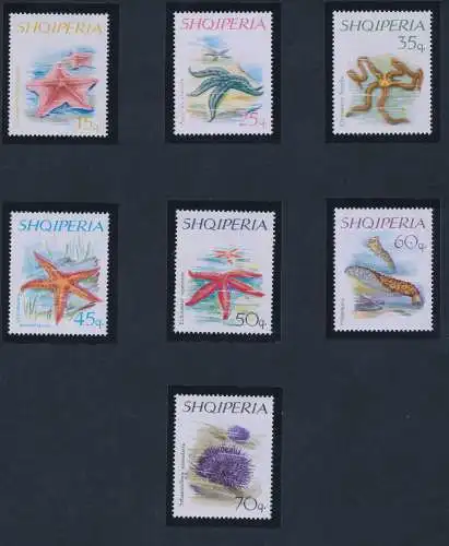 1966 ALBANIEN, Stachelhäuter, Nr. 1060/66, postfrisch**