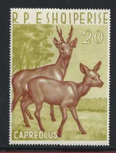 1963 ALBANIEN, BF 15 Capriolo - Animali MNH **