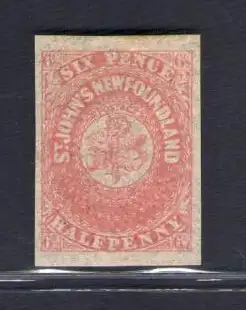 1862-64 TERRANOVA - NEWFOUNDLAND - SG 21 - 6 1/2 d. Rose Lake - MH*