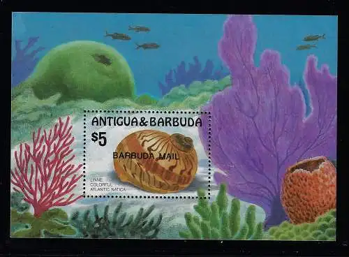 1986 Barbuda, Muscheln - Yvert Bogen Nr. 106 - postfrisch **