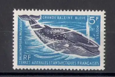 1966 TAAF - Meeresfauna - 5 Francs blau und violett - Yvert Nr. 22 - postfrisch **