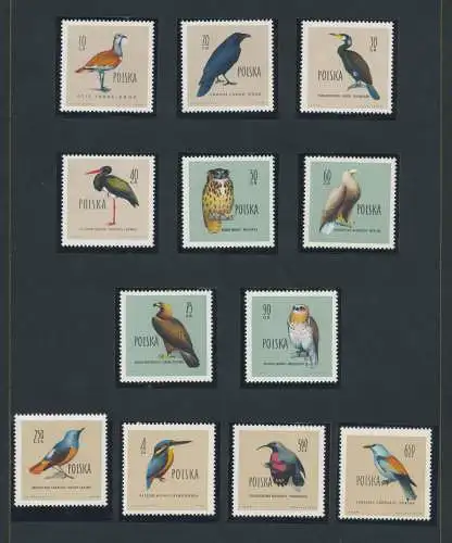 1960 Polen, Einheit Nr. 1197-1208, Tierschutz - 12 Werte - postfrisch **