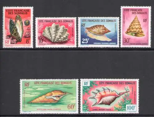 1962 Cote Francaise des Somalis - Yvert Katalog Nr. 311-14 + Luftpost Nr. 31-32 - Muscheln - 6 Werte - postfrisch **