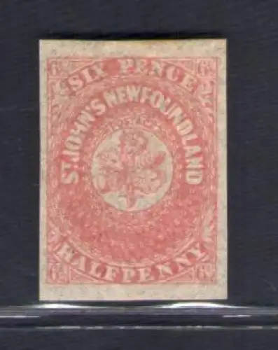 1862-64 TERRANOVA - NEWFOUNDLAND - SG 21 - 6 1/2 d. Rose Lake - MH*