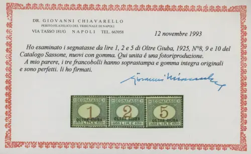 1925 Oltre Giuba, Steuermarken Nr. 1/10, 10 Werte - postfrisch**