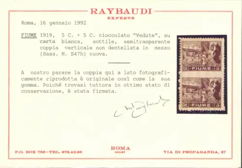 1919 Fluss - Ungezahnte Ansichten in der Mitte, Paar, Nr. B47h - MH*