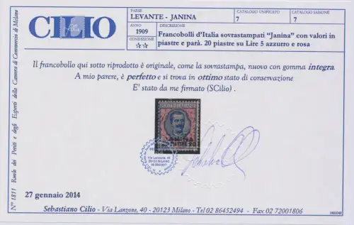 1909-11 Levante, Giannina, Nr. 7 - 20 Platten auf 5 Lire azz. und rosa, postfrisch**