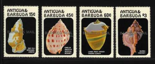 1986 Barbuda, Muscheln - Yvert Nr. 832/35 - postfrisch**
