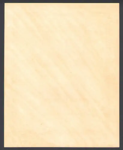 1949 RUSSLAND, 70. Geburtstag Stalin, Zettel Nr. 13, ungezähnt, postfrisch **