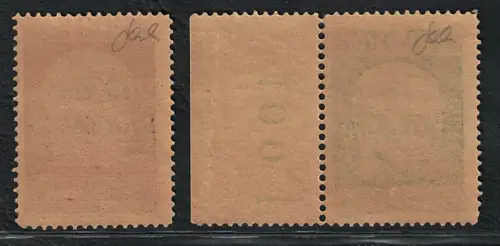 1921 Fluss, Abbild von D'Annunzio Aufdruck Provisorische Regierung # 177-78, postfrisch **