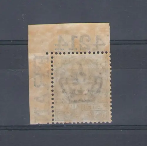 1901 KÖNIGREICH - Vittorio Emanuele III - 25 Cent Floral Angolo di Foglio mit Tafelnummer 4214 Nr. 73 - sehr zentriert postfrisch **