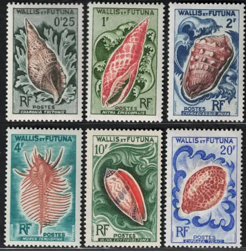 1962-63 Wallis und Futuna, Yvert # 162/67, Conchiglie, postfrisch **