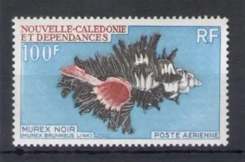1969 Neukaledonien - Yvert Luftpost Nr. 105 - Muscheln - postfrisch **