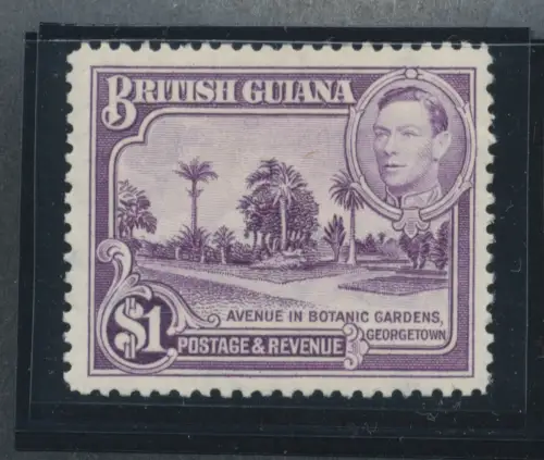 1938-52 BRITISH GUIANA - Stanley Gibbons Nr. 317 - postfrisch **