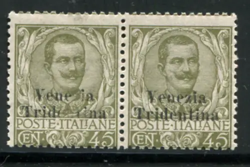 Trentino - Floreale Cent. 45 Aufdruck Venezia Tridentina unvollständig