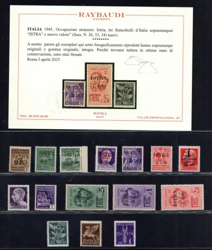 Istrien (Pula) Italienische Briefmarken aufgedruckt Nr. 22/36 - MNH