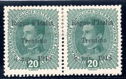 Trentino - 20 Heller Nr. 7d Sorte 8 Nov. statt 3 Nov. - MH