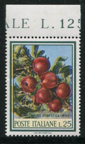 Flora '67 Äpfel - Sorte