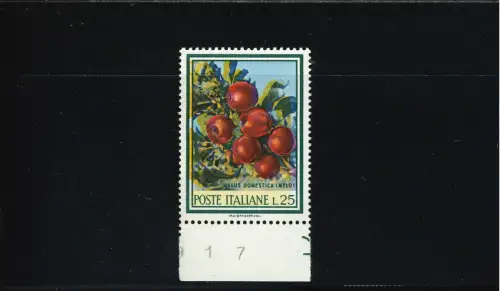 FLORA 25 L. GELB OUT REGISTER