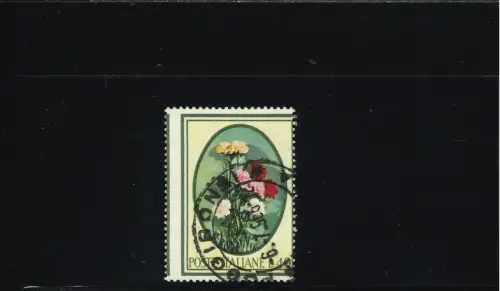 FLORA 40 L. STARK VERSCHOBENE VERZAHNUNG