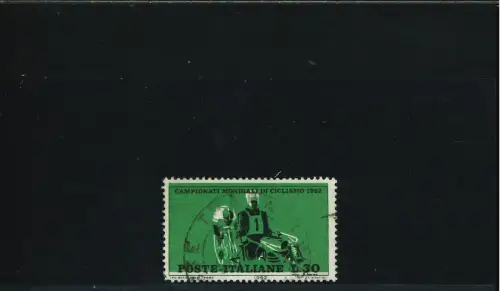 RADSPORT 30 L. GRÜNER HINTERGRUND NACH OBEN VERSCHOBEN