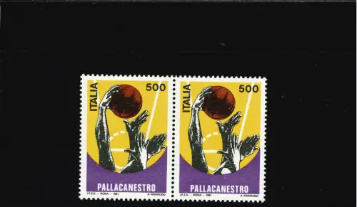 BASKETBALL GROSSER WEISSER BALL PAAR MIT NORMALEM