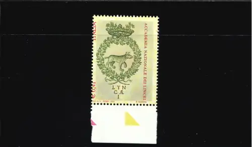 ACADEMIA LUCHS STARK VERSCHOBENE ZAHNUNG