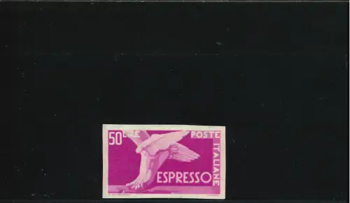 FLÜGELPFERDE 50 L. NICHT GEZÄHNT