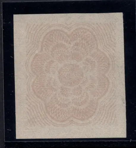 Wasserzeichenlose Lupe nur Druck des Sicherheitsbodens