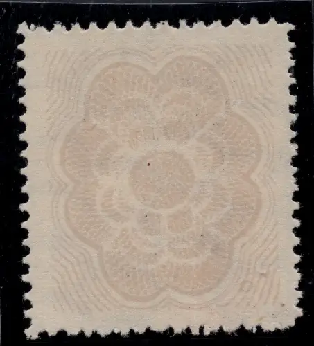 Filigrane Lupe nur mit Sicherheitsbodendruck