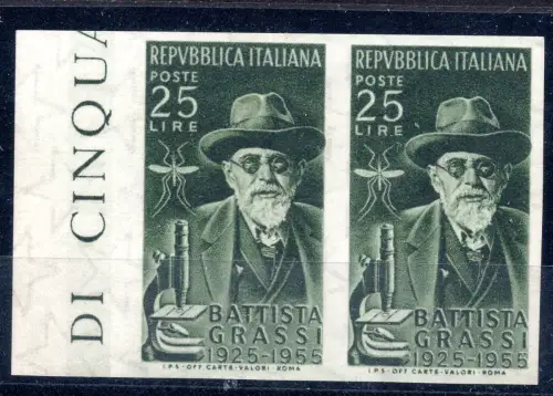 Battista Grassi horizontales Paar ungezahnte Sorte