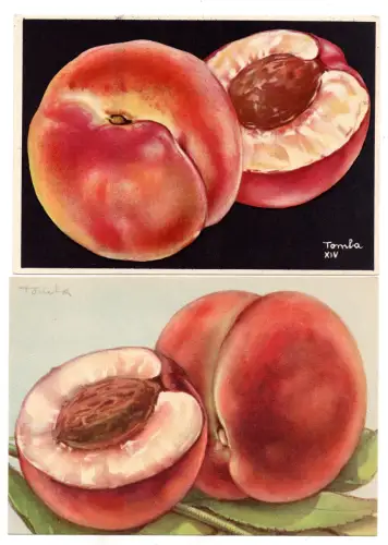 Pfirsichausstellung - Zwei Postkarten