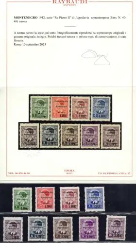 Montenegro Nr. 40/48 Lire Aufdrucke - MNH