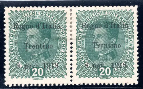 Trentino - 20 Heller Nr. 7d Sorte 8 Nov. statt 3 Nov. - MH