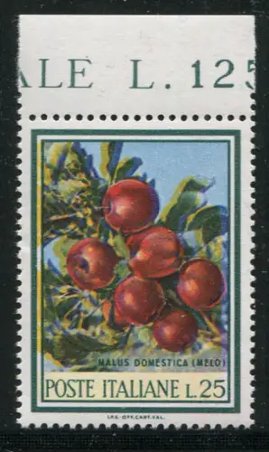 Flora '67 Äpfel - Sorte