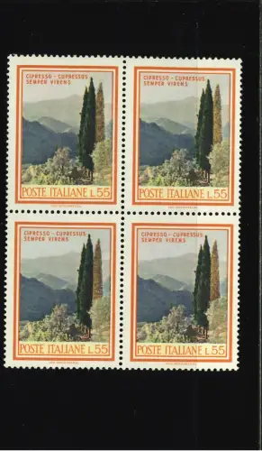 FLORA 55 QUARTINA DRITTE GELBE ZYPRESSE