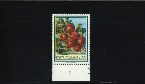 FLORA 25 L. GELB OUT REGISTER