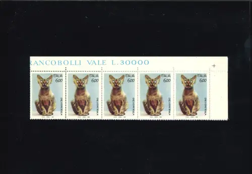 KATZEN 600 L. HORIZONTALER 10ER-STREIFEN MIT FARBZEILE