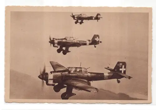 Tauchbomber - Postkarte