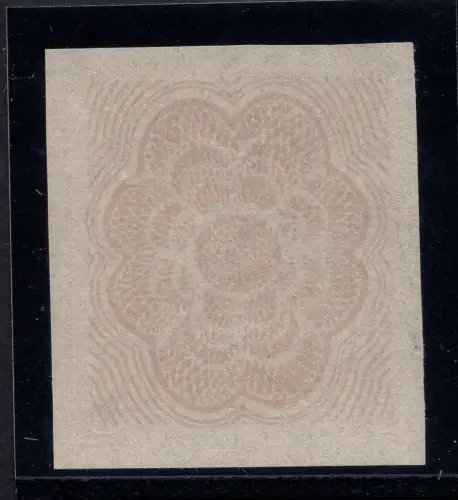 Wasserzeichenlose Lupe nur Druck des Sicherheitsbodens