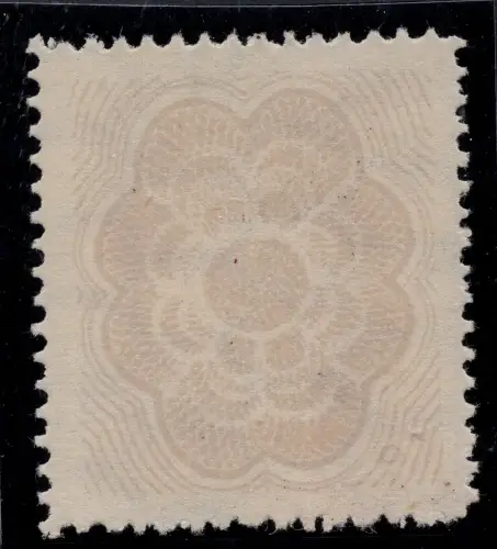 Filigrane Lupe nur mit Sicherheitsbodendruck