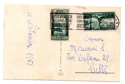 Baumfest Serie auf Postkarte gereist ab Bologna