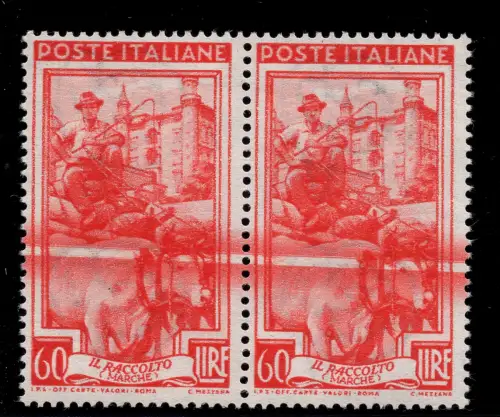 ARBEIT 60 L. PAAR MIT CHIRURGISCHEM SCHNITT